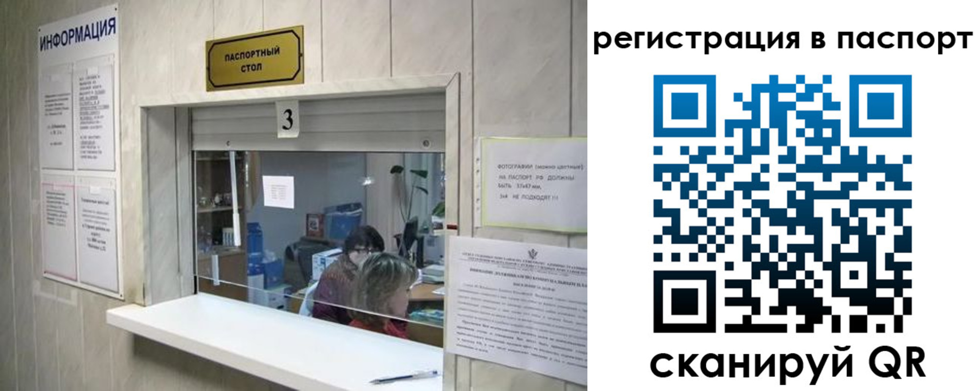 прописка поиск в Каменке